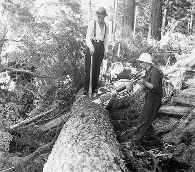 stacks_image_46D77BCA-AF18-4078-AD59-EAEA1BBCDA86