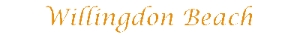 stacks_image_FE9AAD5F-528E-40A4-BB25-3F1DF2BC2C9D